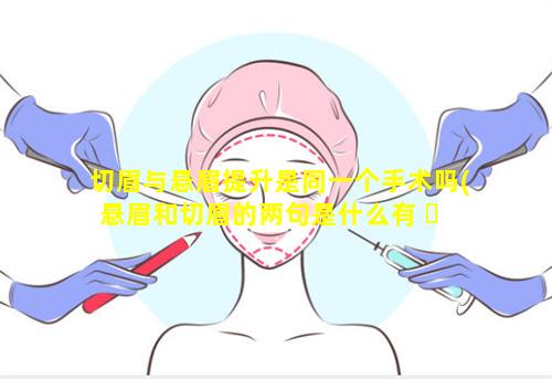 切眉与悬眉提升是同一个手术吗(悬眉和切眉的两句是什么有 ☘ 什么区别)